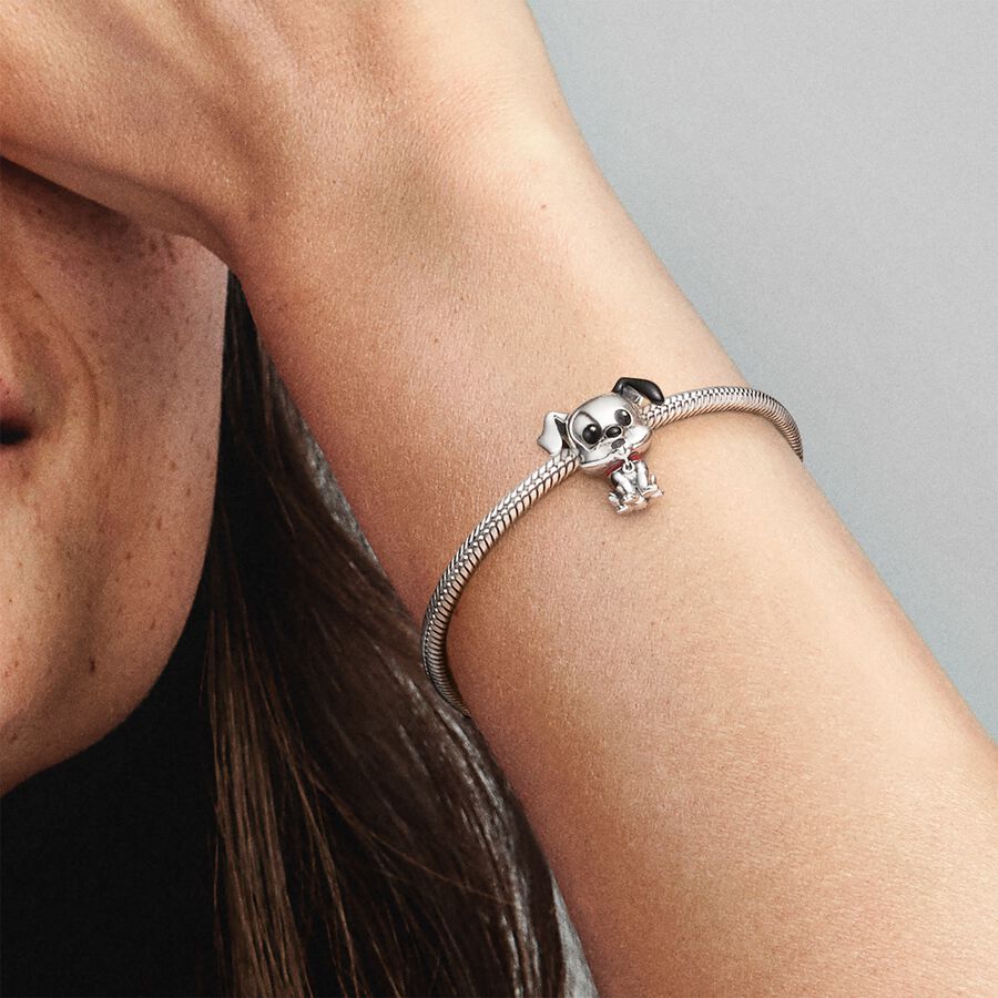 Dalmata Charm